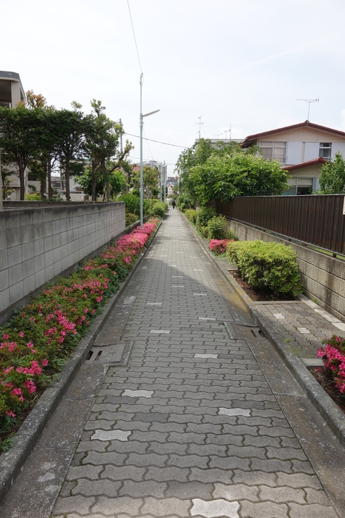 北小岩からぶらぶら その5~葛飾区柴又帝釈天門前参道商店街神明会_a0287336_2224666.jpg