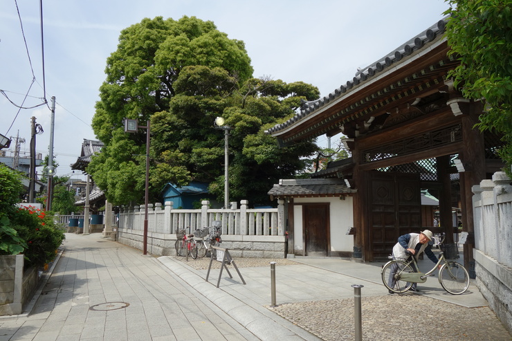 北小岩からぶらぶら その5~葛飾区柴又帝釈天門前参道商店街神明会_a0287336_22261310.jpg