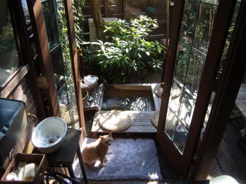 庭の足湯 グルテンフリー カフェ ときどき猫 Gluten Free Cafe Kagurazaka 庭の足湯 グルテンフリー カフェ ときどき猫 Gluten Free Cafe Kagurazaka