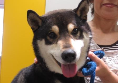 6月 8日の写真_c0174644_12413291.jpg