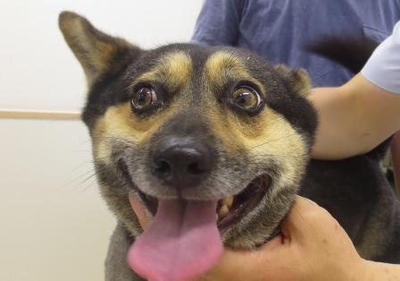 6月 8日の写真_c0174644_12414378.jpg