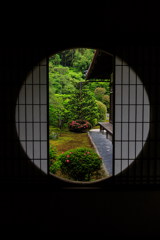 芬陀院・サツキの咲く光景_f0155048_22483672.jpg