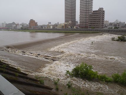 a0096557_15372286.jpg