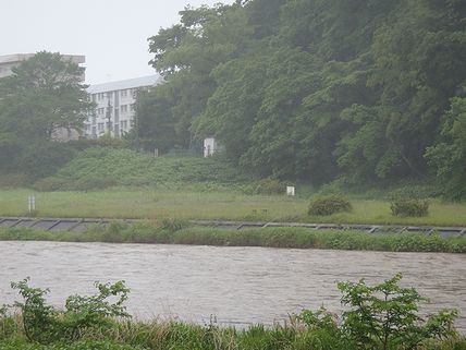 a0096557_15471614.jpg