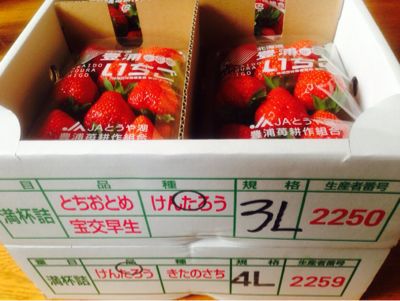 豊浦町いちご豚肉まつり。_d0156358_17151182.jpg