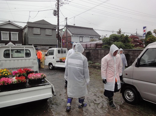 花いっぱい運動、2014年夏バージョン_b0124462_527499.jpg