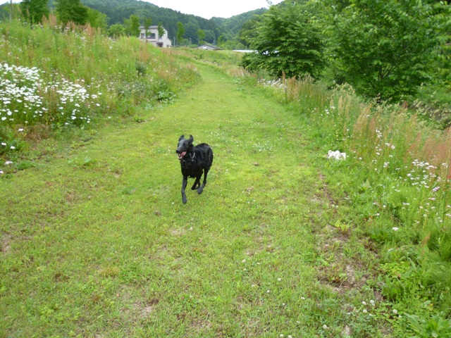 2012　モスミン　白馬へＧＯ！　サンサンパーク！_c0134862_10201958.jpg