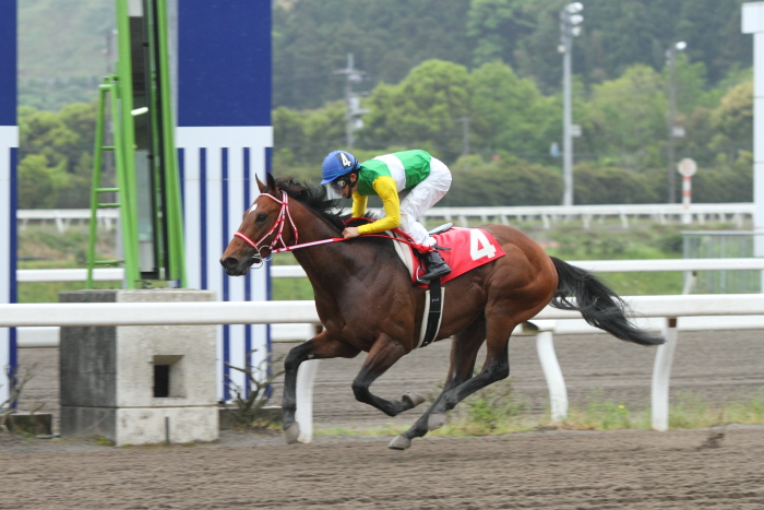 2014年4月28日(月) 高知競馬 3R JRA交流競走 桂浜盃 B以下 その2_a0077663_12565570.jpg