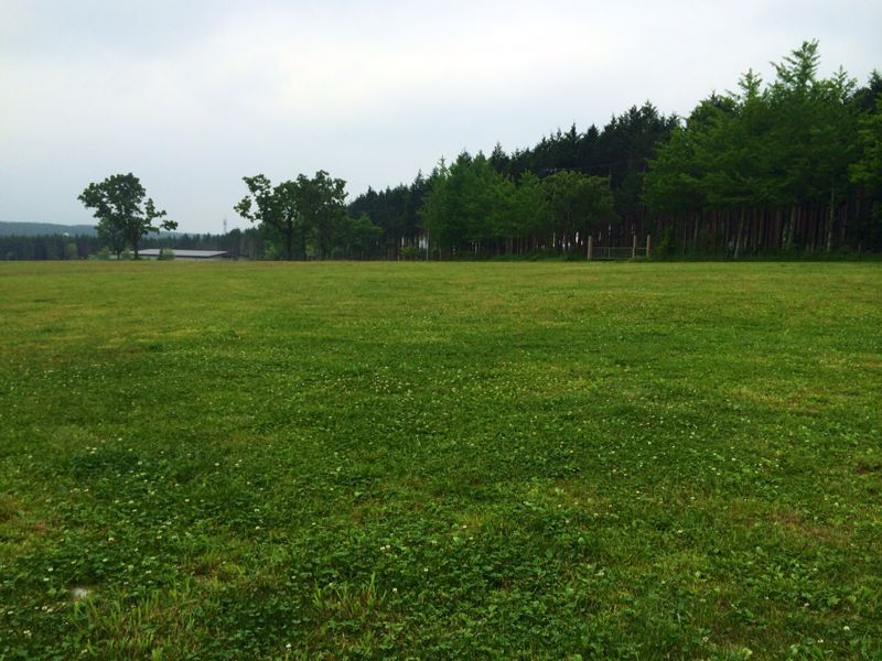 朝霧高原ふもとっぱらキャンプ場☆_c0151965_15275328.jpg