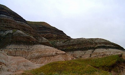 b0171771_08000305.jpg