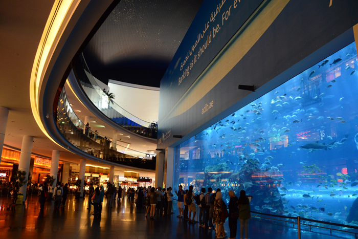 ドバイ水族館写真_e0171573_1582766.jpg