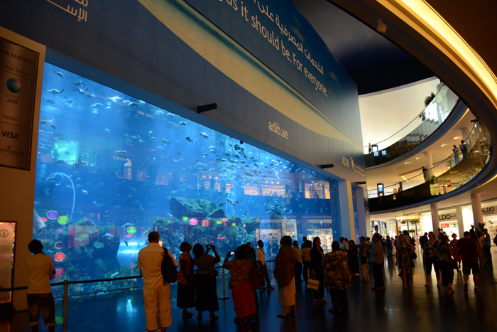 ドバイ水族館写真_e0171573_1583243.jpg