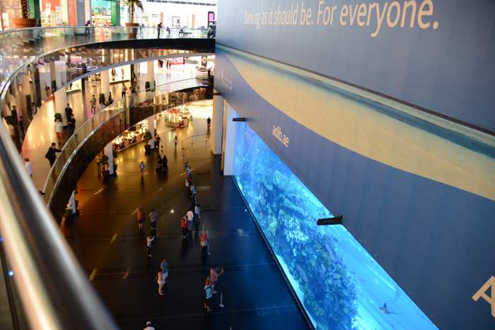 ドバイ水族館写真_e0171573_1584248.jpg