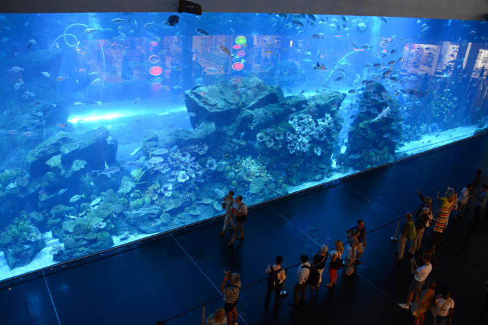 ドバイ水族館写真_e0171573_1584812.jpg