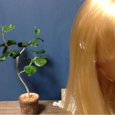 1 6ドールハウス 観葉植物の作り方 1 6ドールハウスcoquelicotコクリコ