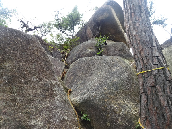 c0066176_13305070.jpg