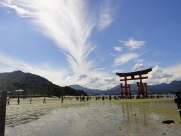 気になるな_d0132289_02020888.jpg