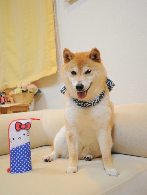 新しくしました It\'s new._a0126590_23350789.jpg