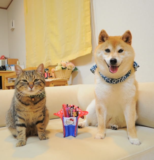新しくしました It\'s new._a0126590_23361853.jpg