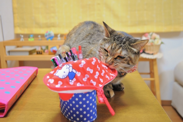新しくしました It\'s new._a0126590_23370605.jpg