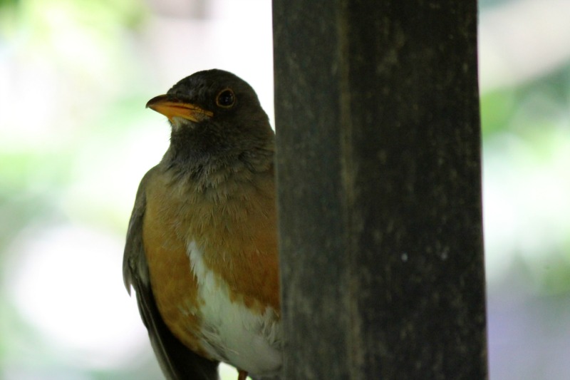 a0127090_2249525.jpg