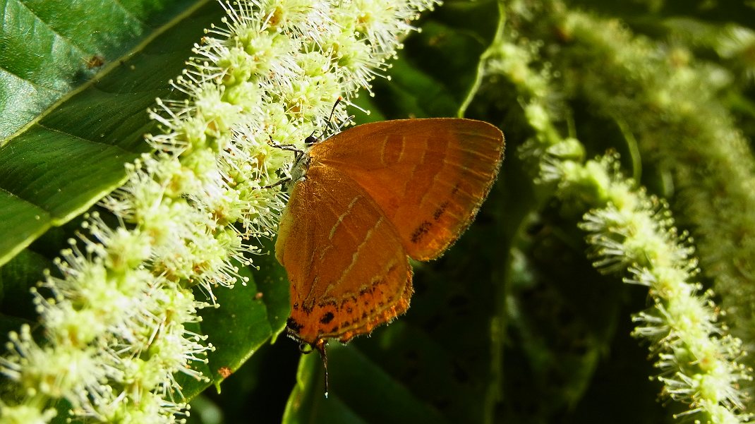 a0152692_1751518.jpg