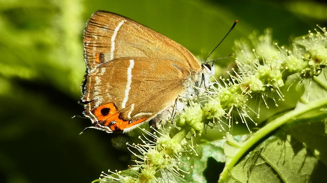 a0152692_20392882.jpg