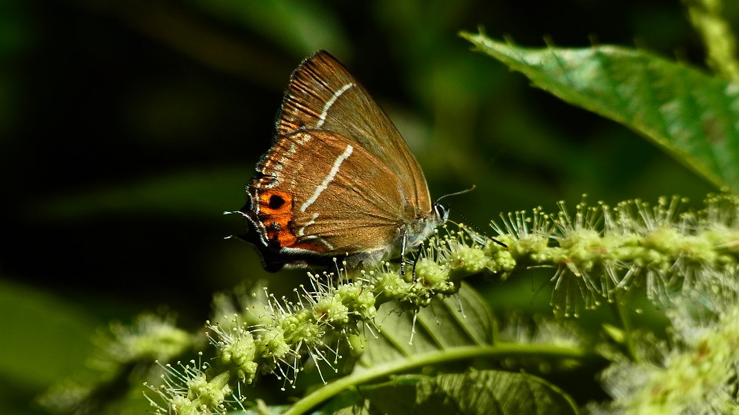 a0152692_2040058.jpg