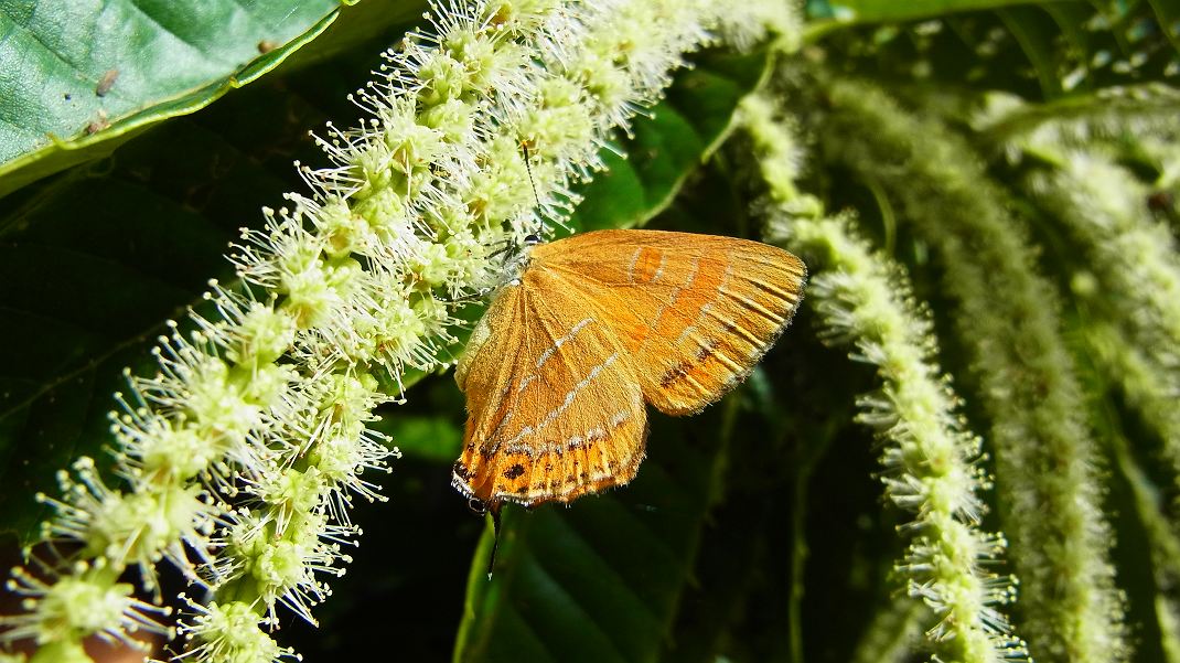 a0152692_20441825.jpg