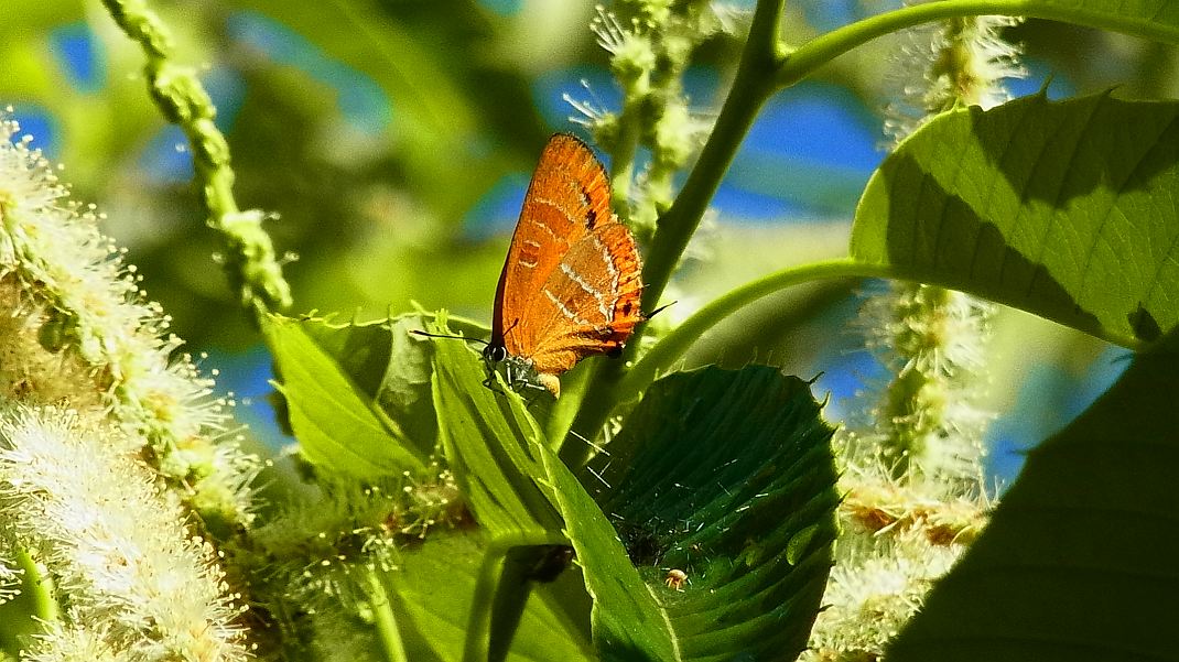 a0152692_2047424.jpg