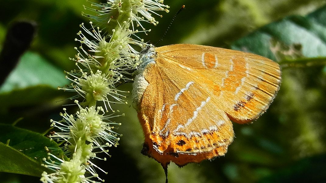 a0152692_2049042.jpg