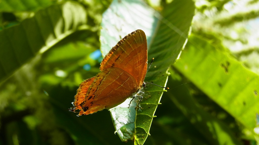 a0152692_20502100.jpg