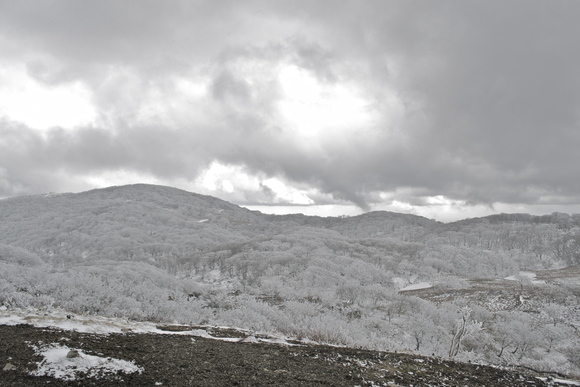 c0309492_1284941.jpg