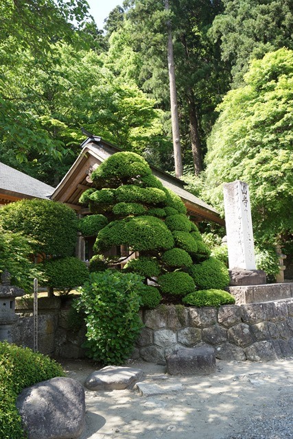 昔を語る新緑の山寺歴史的文化遺産の山寺を訪ねる旅、芭蕉ゆかりの地山形県「山寺」_d0181492_1118346.jpg