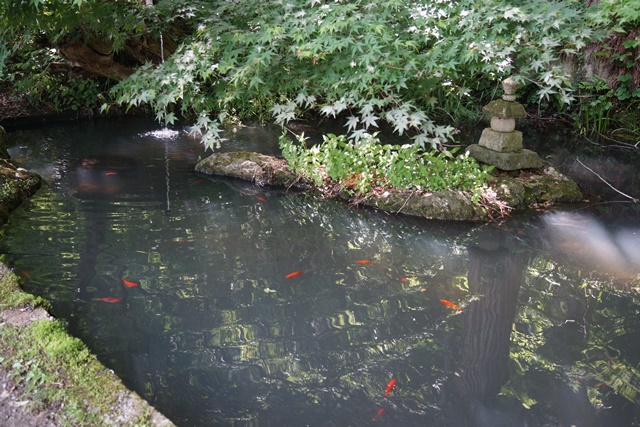 昔を語る新緑の山寺歴史的文化遺産の山寺を訪ねる旅、芭蕉ゆかりの地山形県「山寺」_d0181492_11195446.jpg