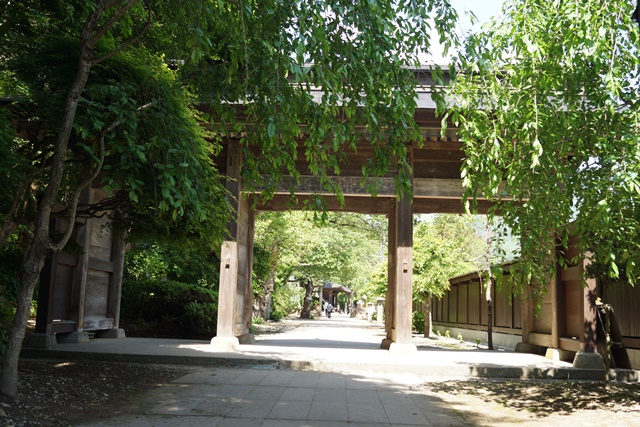 昔を語る新緑の山寺歴史的文化遺産の山寺を訪ねる旅、芭蕉ゆかりの地山形県「山寺」_d0181492_11212286.jpg