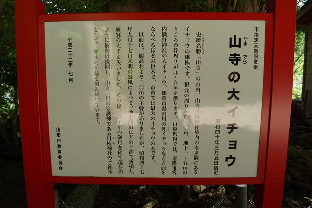 d0181492_1125562.jpg