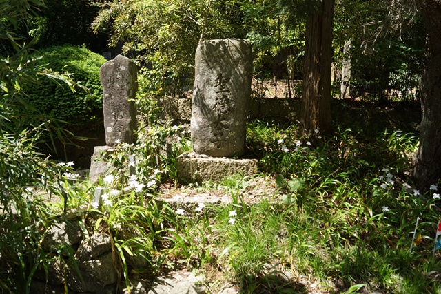 d0181492_1133020.jpg