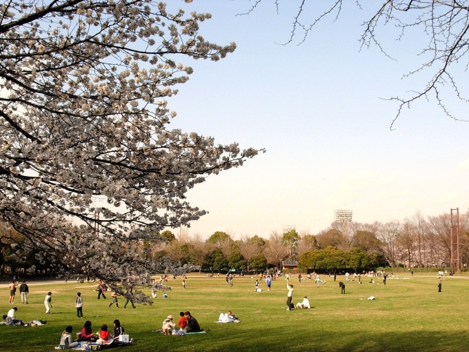 緑の中でスポーツを楽しめる！城北中央公園♪_f0322193_1025263.jpg