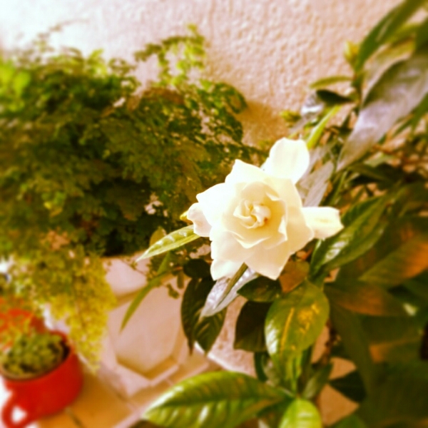 d0246595_14142917.jpg