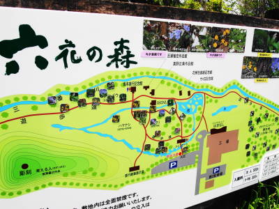 北海道ガーデン街道を巡る旅6 六花の森 ゆるゆると 北海道ガーデン街道を巡る旅6 六花の森 ゆるゆると