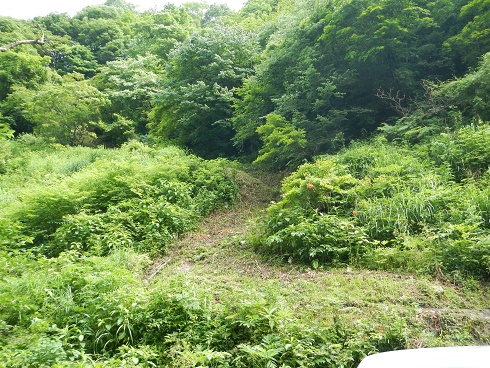 f0232107_15202440.jpg