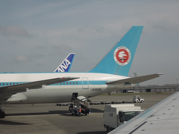 e0087008_854268.jpg