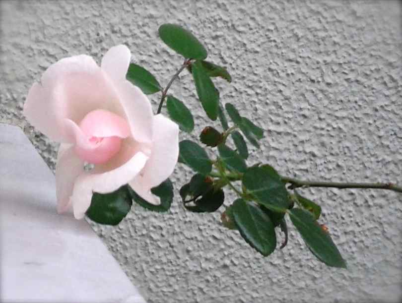 f0024708_3353023.jpg