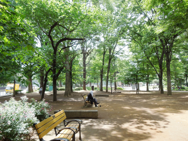 上野公園にて ノアノア