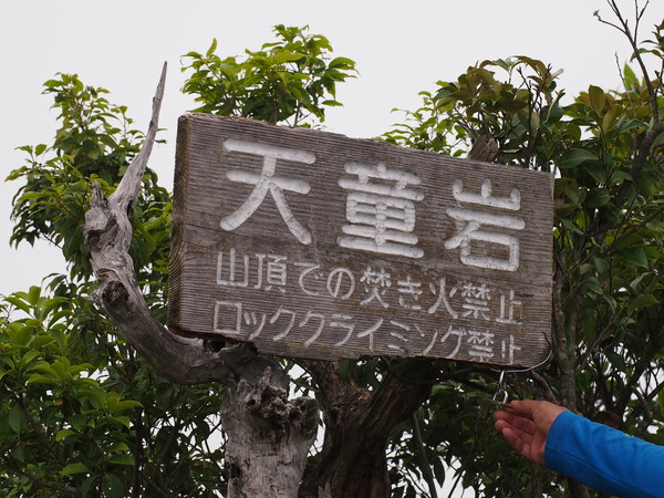 d0198313_1552469.jpg
