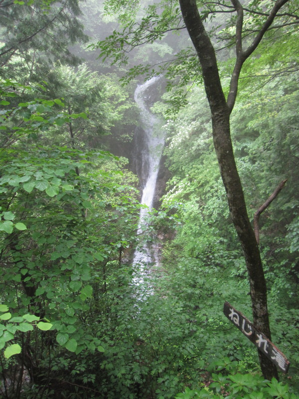 d0103314_23363644.jpg