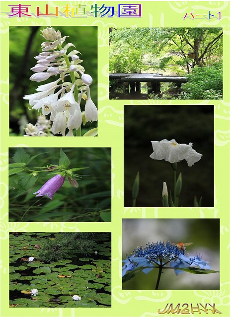 東山植物園の撮影会_f0234316_520447.jpg