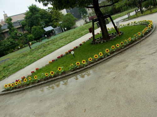 a0214919_812835.jpg