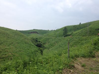 f0198620_2292787.jpg